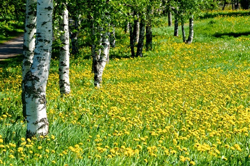 Weekend z dużą ilością chmur i deszczem