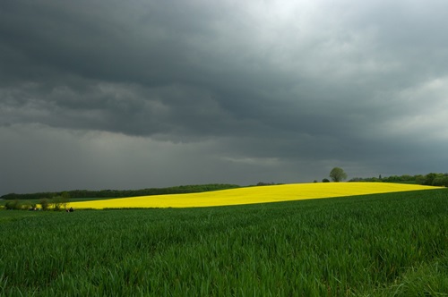 Początek tygodnia z dużym zachmurzeniem i deszczem