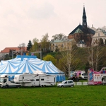 Cyrk Arena odwiedzi Białystok. Będą pokazy lwów