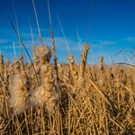 Poniedziałek z umiarkowaną temperaturą