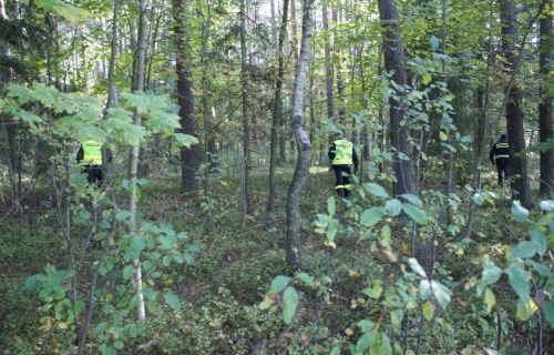 80-latek zgubił się w lesie. Szukała go policja i straż pożarna