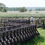 Kładki nad Narwią. Rodzinny weekend na łonie natury