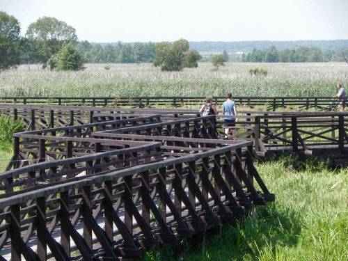 Kładki nad Narwią. Rodzinny weekend na łonie natury