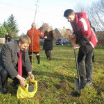 Sadzili drzewa w Święto Niepodległości