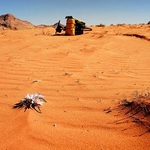 Welcome to Jordan! Egzotyczna podróż w mroźny grudzień