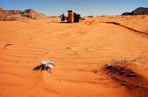 Welcome to Jordan! Egzotyczna podróż w mroźny grudzień