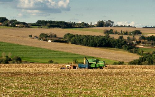 Ruszyły dopłaty bezpośrednie za rok 2014