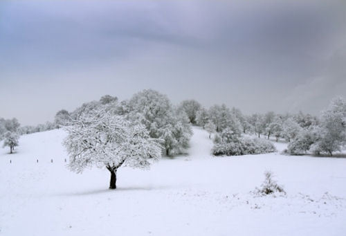 W czwartek 0°C i niskie ciśnienie