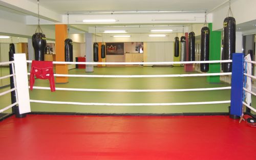 Boks. Darmowe zajęcia dla dzieci w Golden Boxing Gym