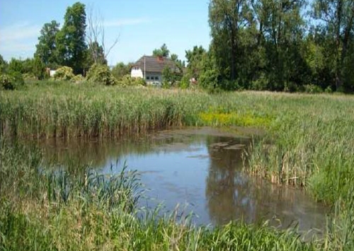 Miasto inwestuje w tereny zielone. Stawy Marczukowskie na grillowanie, wędkowanie i plażowanie