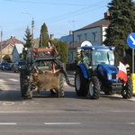 Jest decyzja. 500 dzików do odstrzału