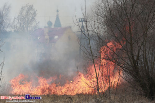 Pożar traw na Słonecznym Stoku. Trwa akcja gaśnicza [ZDJĘCIA]