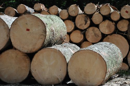 Były dyrektor aeroklubu ponownie przed sądem