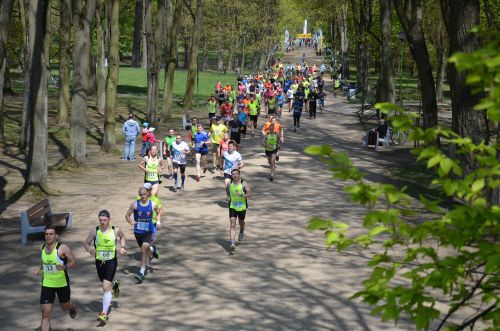 Grand Prix Zwierzyńca 5/6. Pogoda dopisała biegaczom