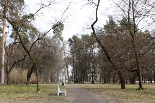 Ratujący Zwierzyniec skarżą się do radnych na prezydenta