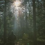 Biegacze pościgają się w lesie. W niedzielę odbędzie się "Biegam Bo Lubię Lasy"