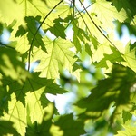 W weekend czekają nas wysokie temperatury