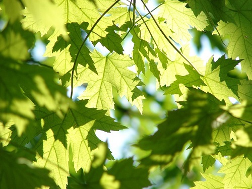 W weekend czekają nas wysokie temperatury