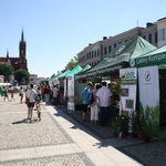 Festyn ekologiczny na Rynku Kościuszki. Wiele atrakcji dla każdego