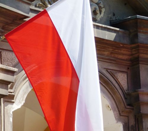 Zakłócali obchody Święta Konstytucji. Rodzeństwo musi zapłacić grzywny