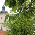 Wyniki matur. Sprawdzamy, jak sobie poradzili absolwenci szkół średnich