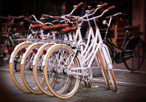 Wakacyjny peleton gwiazd. Białystok i celebryci promują szlak rowerowy Green Velo