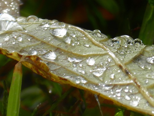 W czwartek temperatura będzie niższa