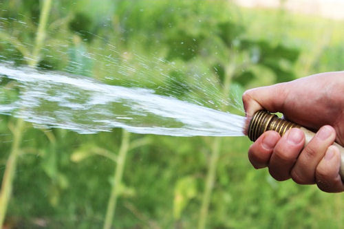 W weekend czekają nas rekordowe temperatury