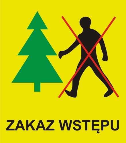 Są pierwsze w regionie zakazy wstępu do lasu