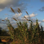 W środę 24°C i zachmurzenia