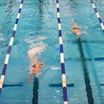 Pływacy Juvenii i Barracudy nie zwalniają tempa. Blisko 40 medali dla zawodników z Białegostoku