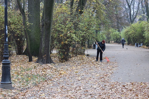 Sobota pochmurna, w niedzielę ponad 10°C