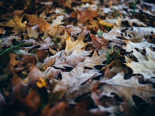 Wystąpią przejaśnienia, a temperatura spadnie poniżej 0°C