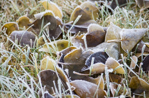 Ostatni weekend listopada będzie mroźny i pochmurny