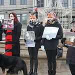 "Nie pozwólmy cierpieć zwierzętom. Futrom mówimy nie!" – happening na Rynku Kościuszki