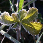 W poniedziałek 0°C i okresowe przejaśnienia