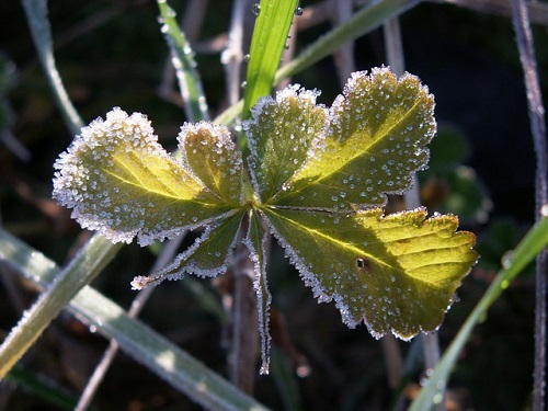 W poniedziałek 0°C i okresowe przejaśnienia