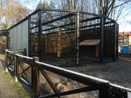 Remont Akcentu ZOO. Ryś, kozy i puszczyk mają nowe mieszkania