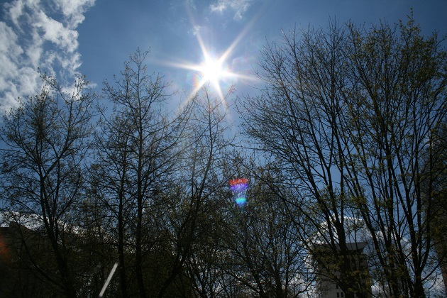 Pierwszy weekend lutego będzie dość chłodny i wietrzny