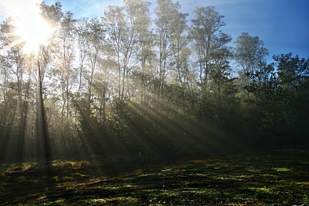 Temperatura wzrośnie do 3°C