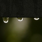 Synoptycy zapowiadają opady deszczu