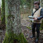 Leśne patrole w Puszczy Białowieskiej. Raport z kontroli trafi do ministra