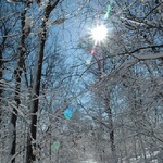 Temperatura wzrośnie do 5°C