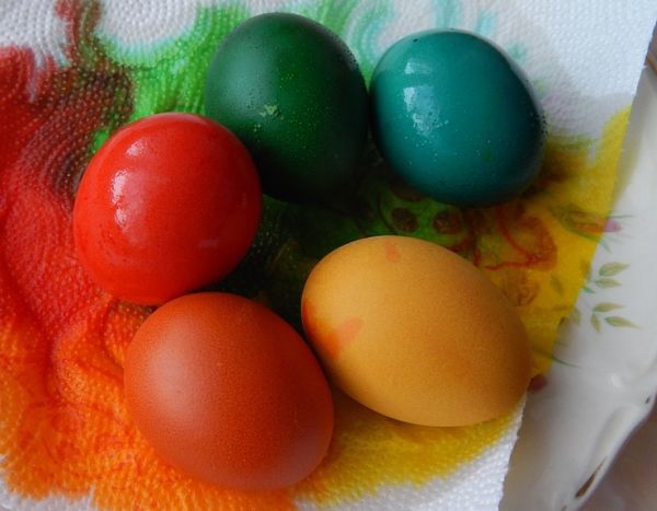 "W te święta poprę zwierzęta" - będą zachęcać do rezygnacji z jajek na Wielkanoc