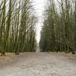 Wiosenne porządki w Lesie Zwierzynieckim. Każdy może pomóc