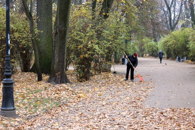 Pielęgnacja najstarszych białostockich parków może kosztować nawet 2,6 mln zł
