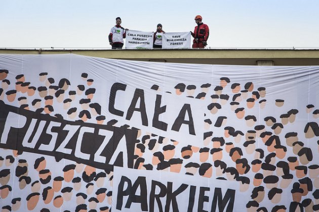 Aktywiści zeszli z dachu ministerstwa. Walka o Puszczę Białowieską trwa