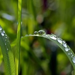Synoptycy zapowiadają opady deszczu
