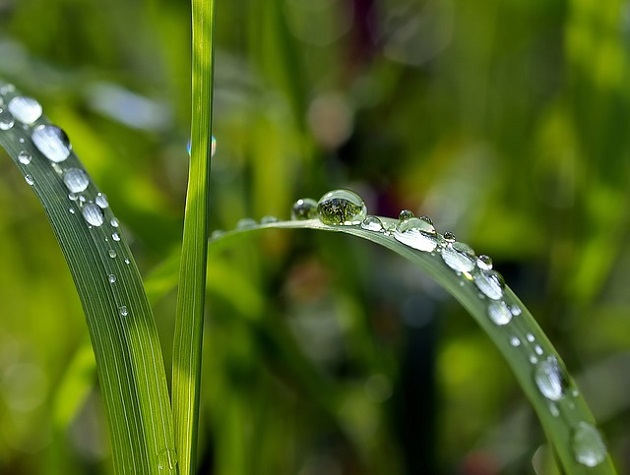 Synoptycy zapowiadają opady deszczu