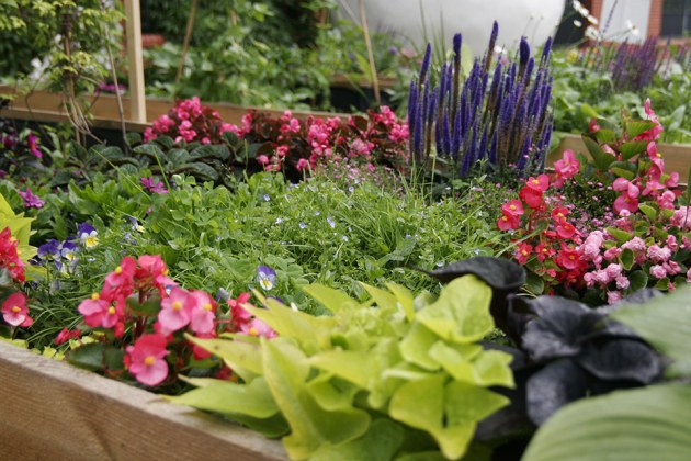 Można uprawiać warzywa i kwiaty. Powstanie ogródek przy białostockiej galerii